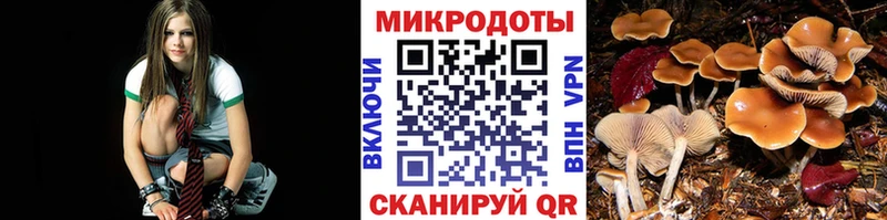 купить наркотик  Самара  Псилоцибиновые грибы прущие грибы 